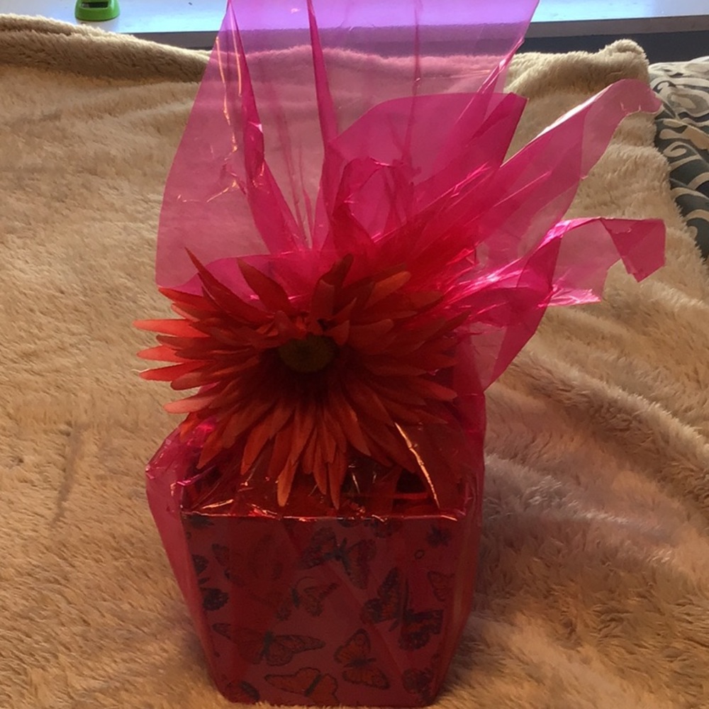 Mary Kay gift basket. Brand new